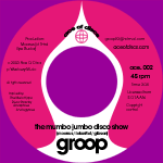 The Mumbo Jumbo Disco Show / Brainwashed